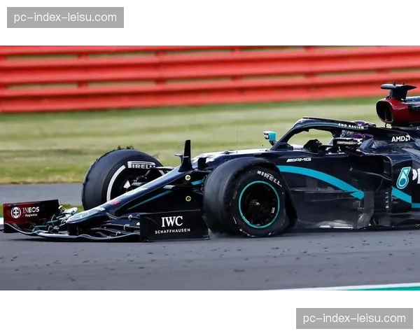 戏剧性一幕：领先车手在终点线前误入观众区，错失冠军