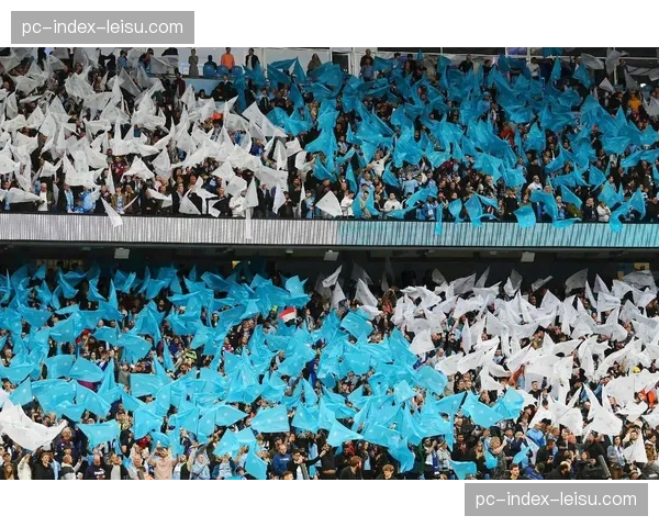 环保新规下的球场运营:曼城伊蒂哈德球场实现100%可再生能源供电 环保新规下的球场运营:曼城伊蒂哈德球场实现100%可再生能源供电